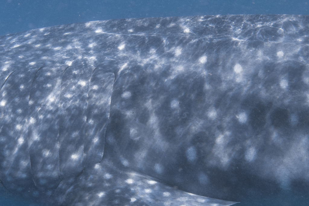 3e340e56-5596-4fba-a0d3-322692fcdc54