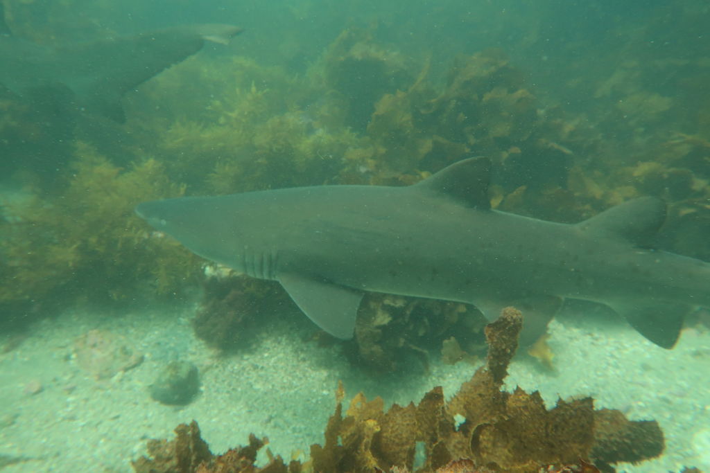 65ae03c9-0725-4b17-91a8-33ace878a43d