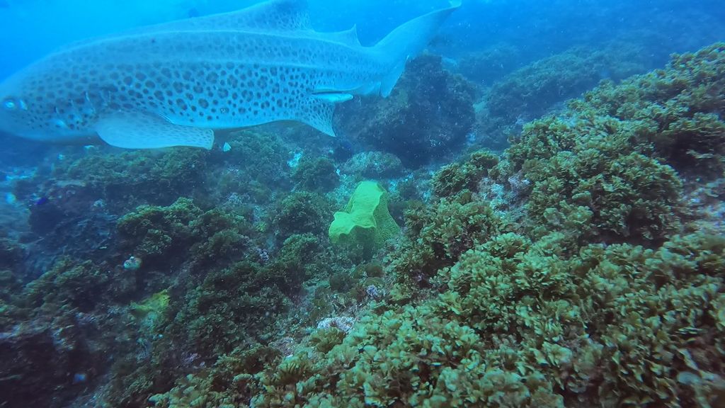 ceb7b860-cf33-46d0-9f9d-54d967501a35