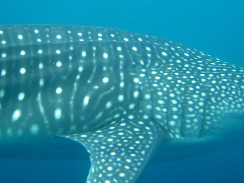 f19c9fce-7182-44cb-8db2-cb5695bb7ab7