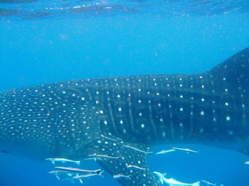 084d16e7-d188-401e-81f4-40a11249aa3e