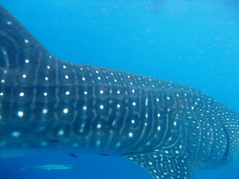 084d16e7-d188-401e-81f4-40a11249aa3e