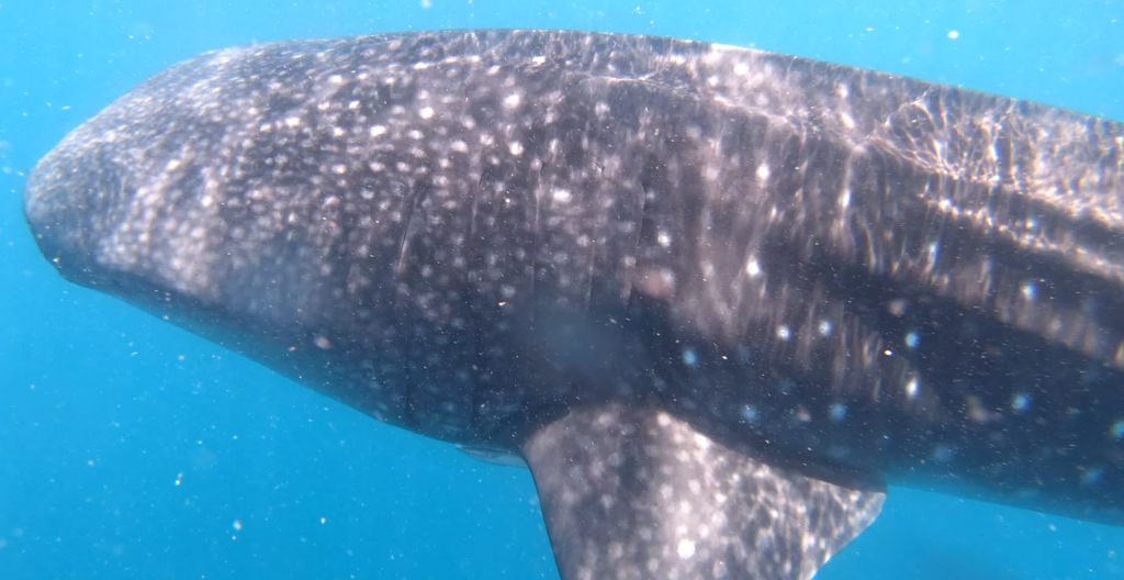 d54ffa82-327c-4dd8-aaa0-e62592aa66a1