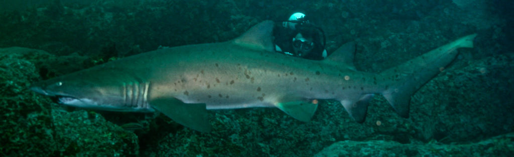 a6199459-11c3-4bd9-88c2-de3b7c5ffb55