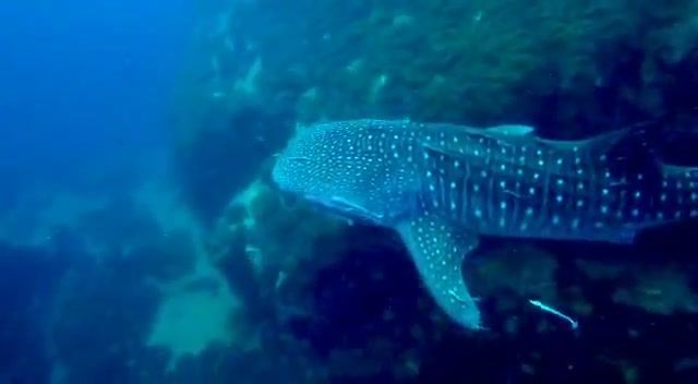 93ccac9d-9702-47cb-907b-506096a40df2