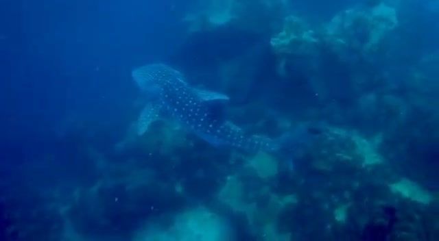 93ccac9d-9702-47cb-907b-506096a40df2