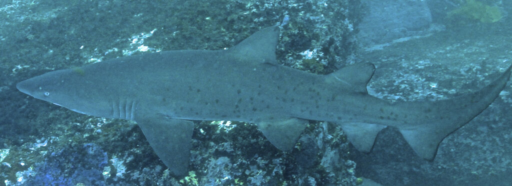 242d10a2-5f69-4181-a98b-e5314a26c49d