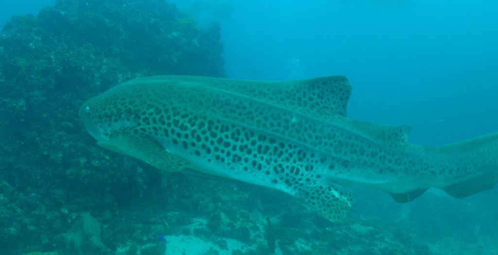 dae25d4a-559c-49c4-b67f-936df9ec44e0