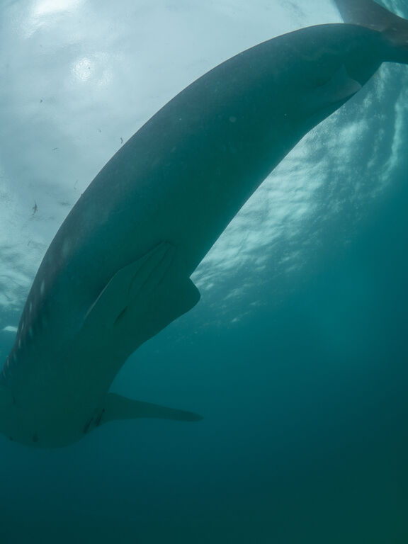 f06e84eb-0d69-4cb4-9f11-96506ac97426