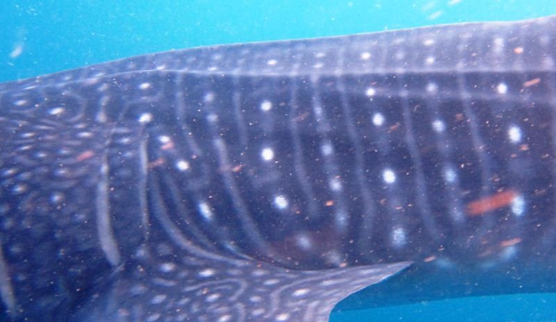 75faa009-0e41-4327-86f5-54256d56b904