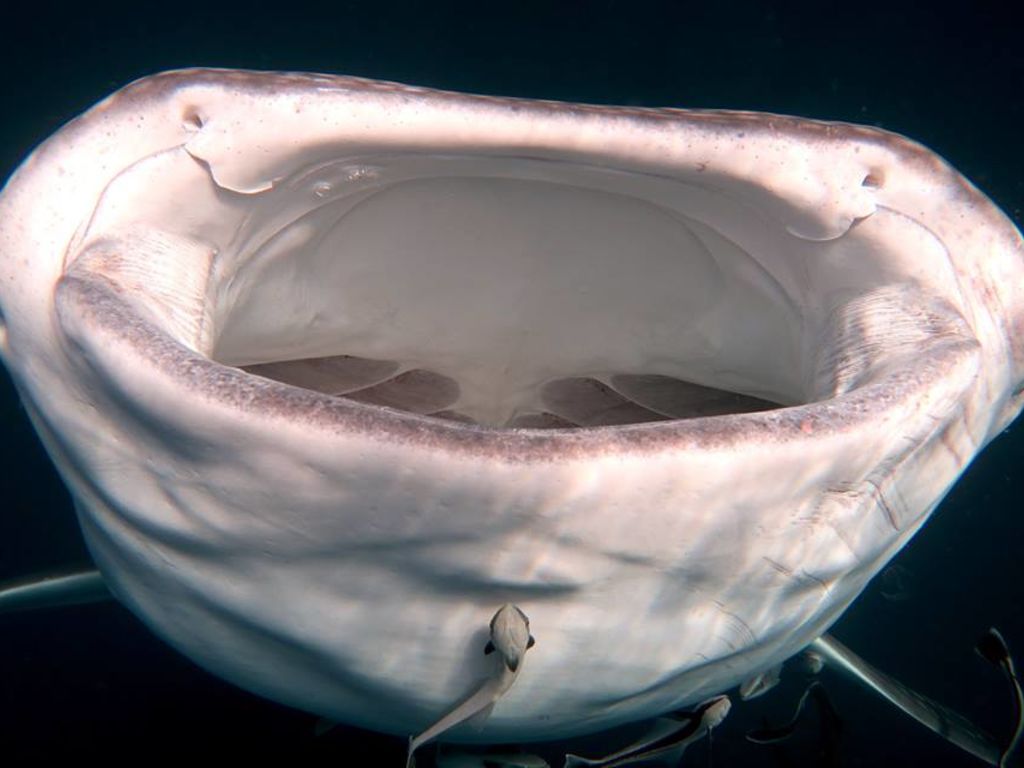 192af12a-b5e8-4e22-b5b8-c52324a0809c