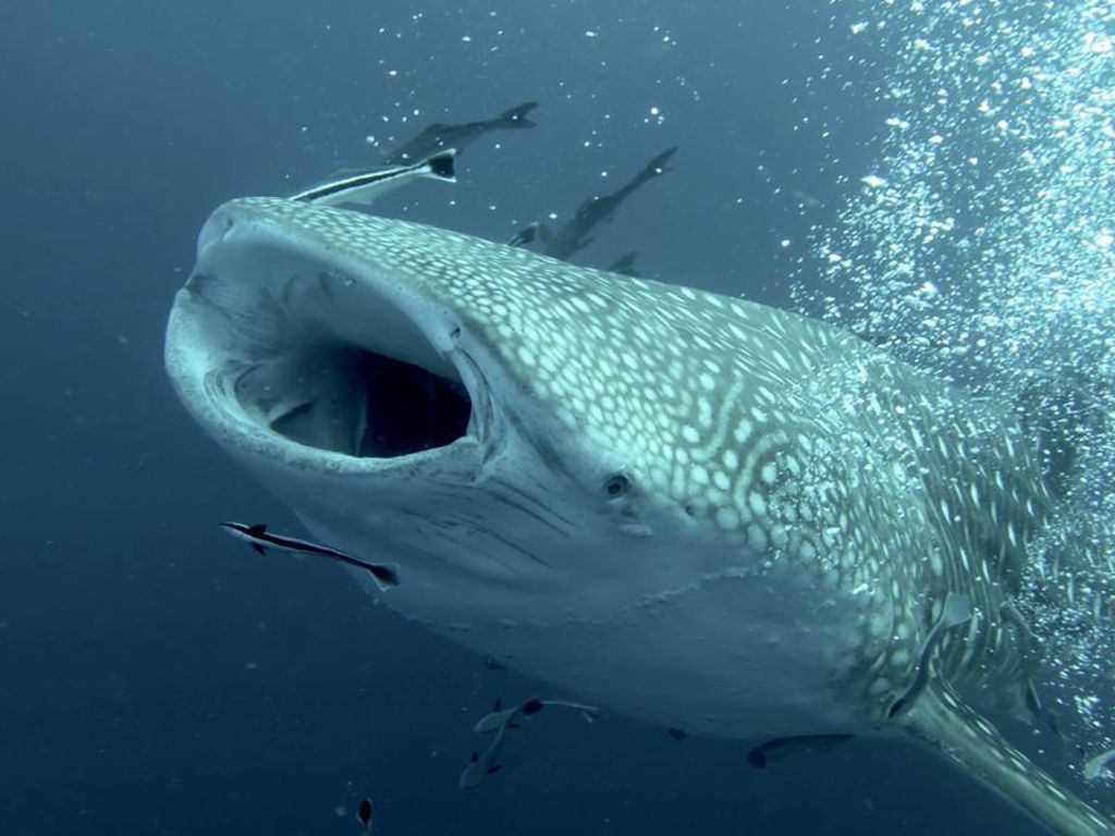 192af12a-b5e8-4e22-b5b8-c52324a0809c