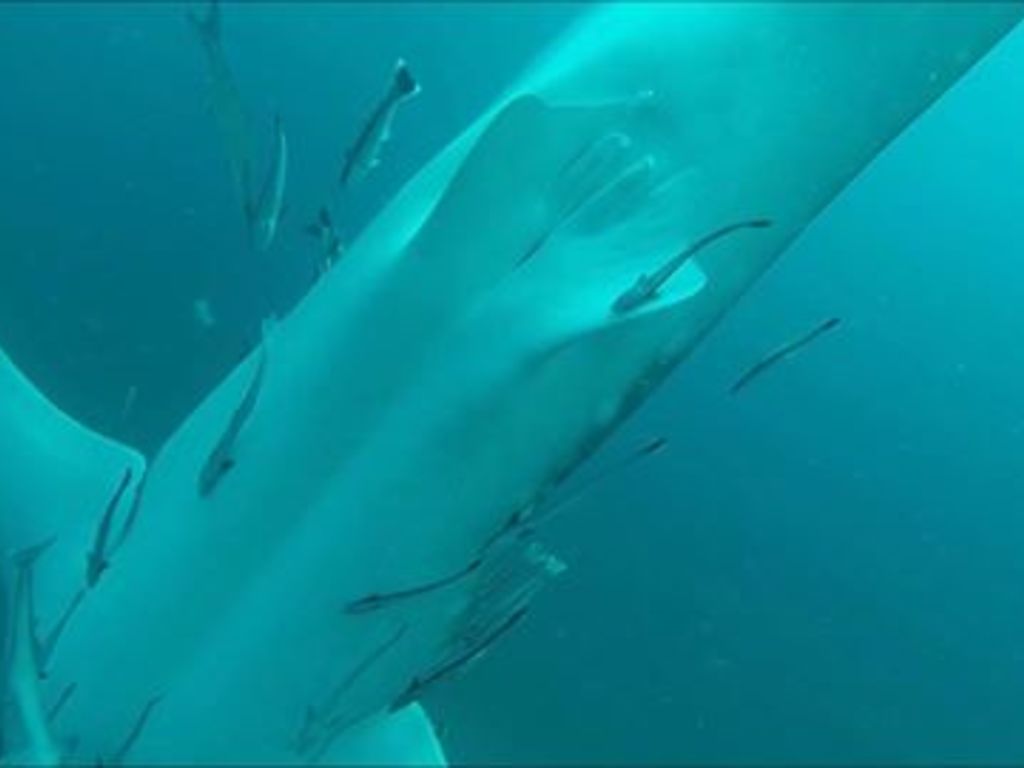 192af12a-b5e8-4e22-b5b8-c52324a0809c