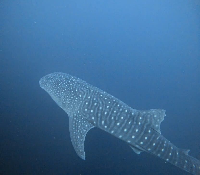 d48fb8ab-4df8-47c0-8d21-6a6a85a6fa17