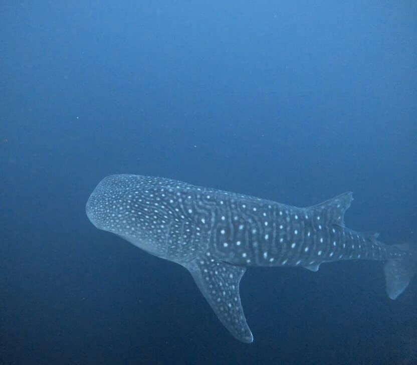 d48fb8ab-4df8-47c0-8d21-6a6a85a6fa17