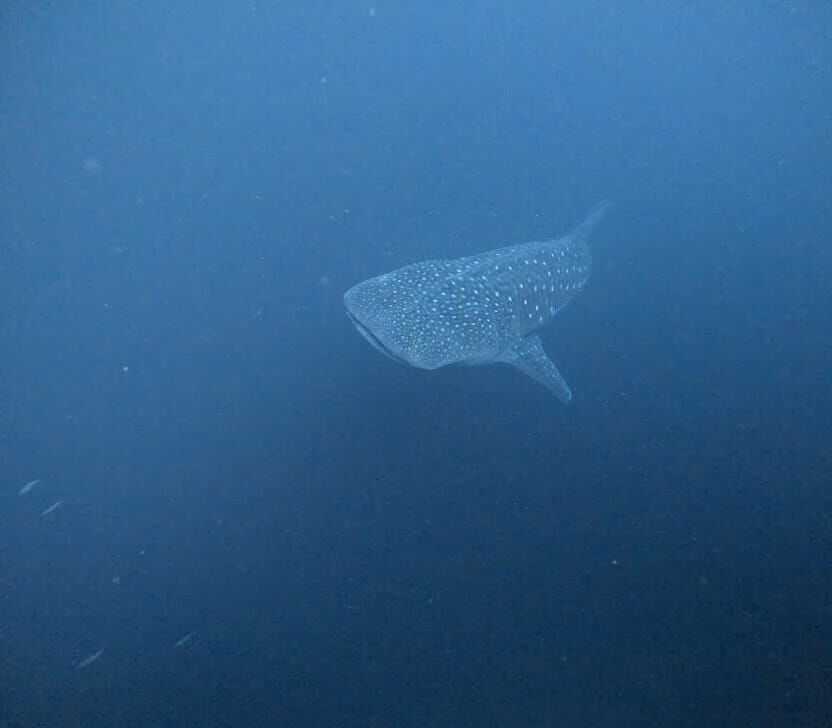 d48fb8ab-4df8-47c0-8d21-6a6a85a6fa17