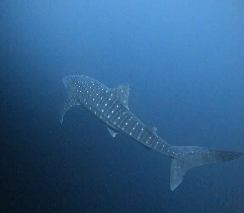 d48fb8ab-4df8-47c0-8d21-6a6a85a6fa17