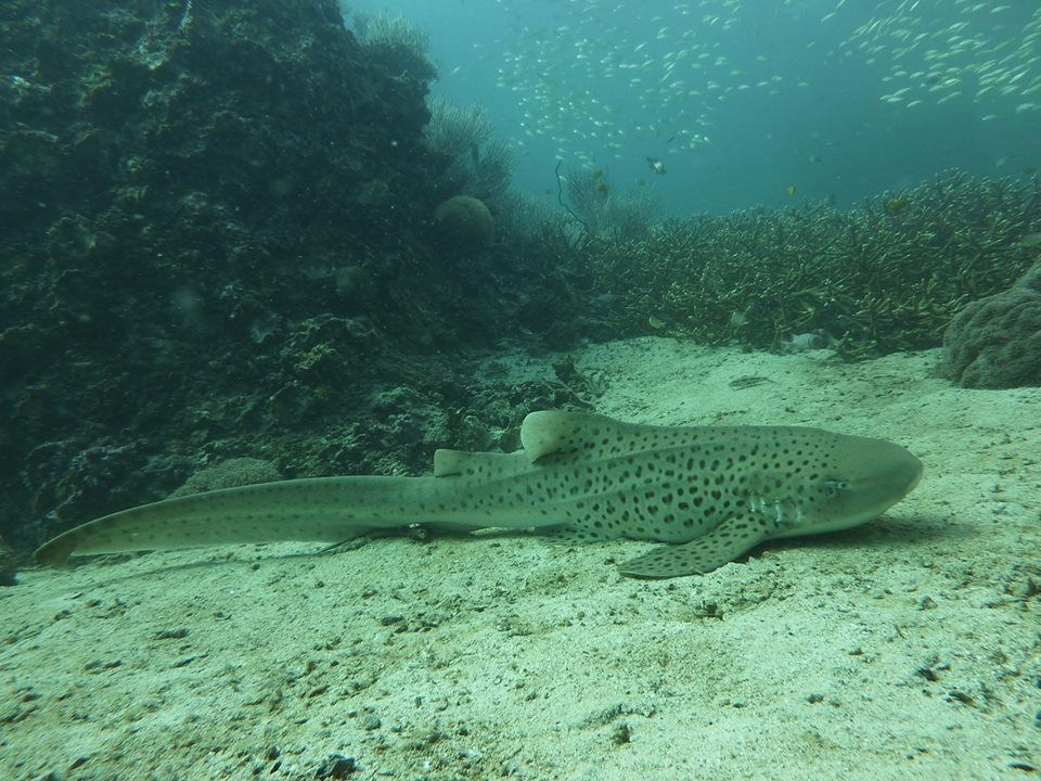 6db6dafc-677a-48e4-b911-ee5e340deaf3