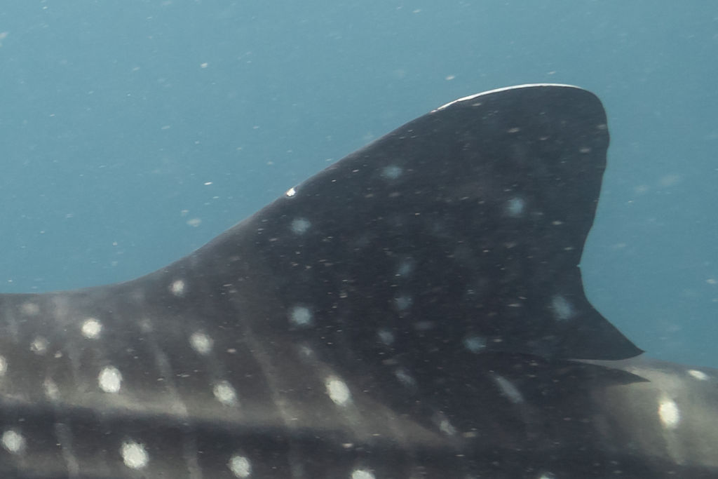 fa8ed92f-6388-4f41-8e89-47da487c6522