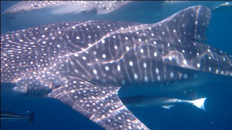 9ff36c08-b861-4f92-9bc7-e34091321ba5