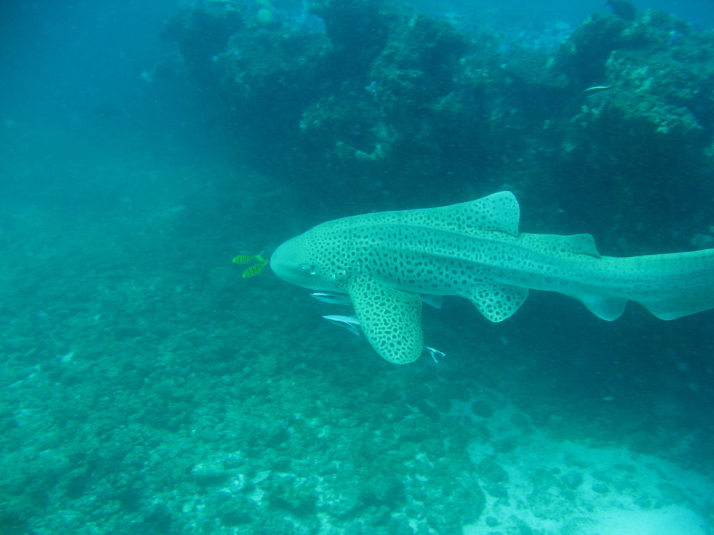 e4a8ee74-5629-4013-855c-a8e2c0700e00