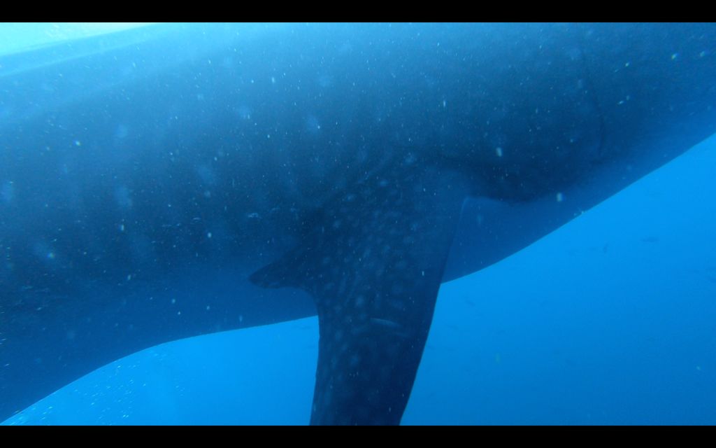 46a2e239-17b9-46dd-b24e-d77b9da080ee