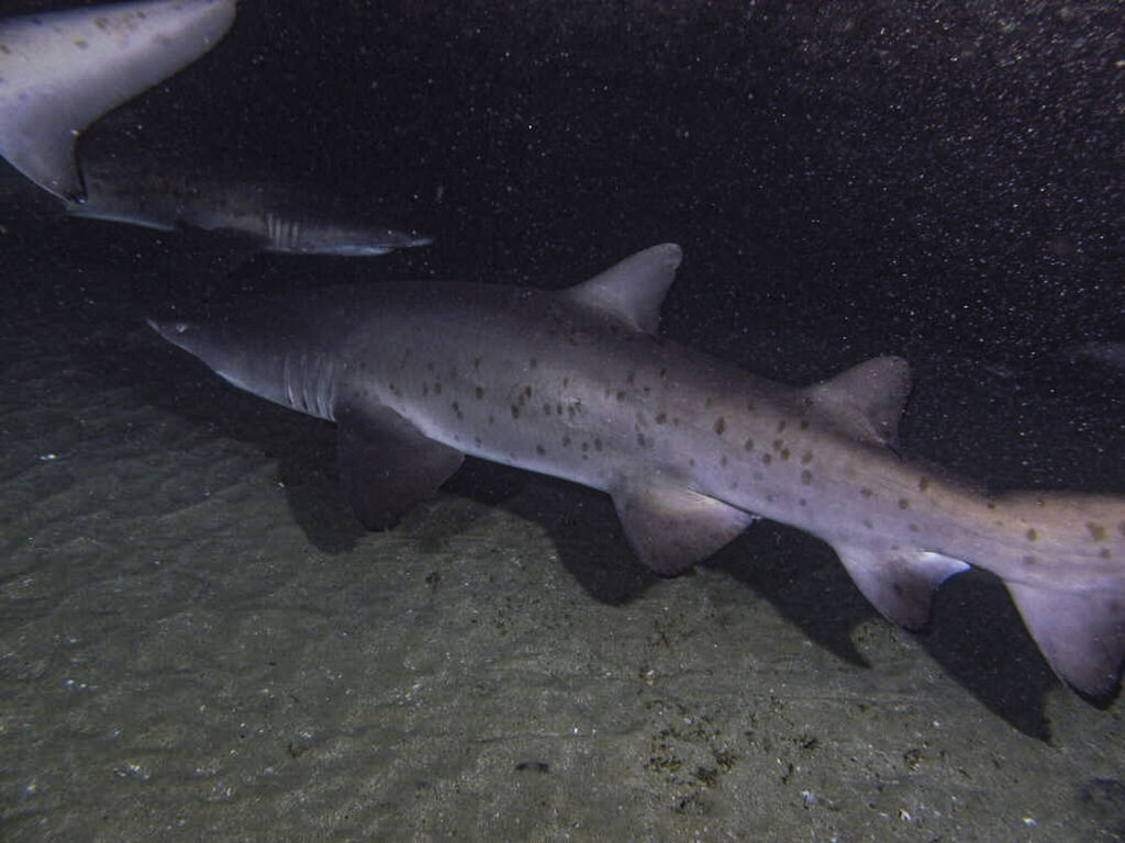 f930c6f3-cbb6-46c4-b44f-19af3b1eb0a5