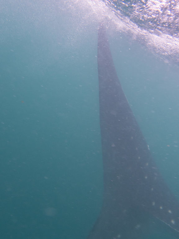 3f22200e-03ff-4870-98f1-df51e2525ce5