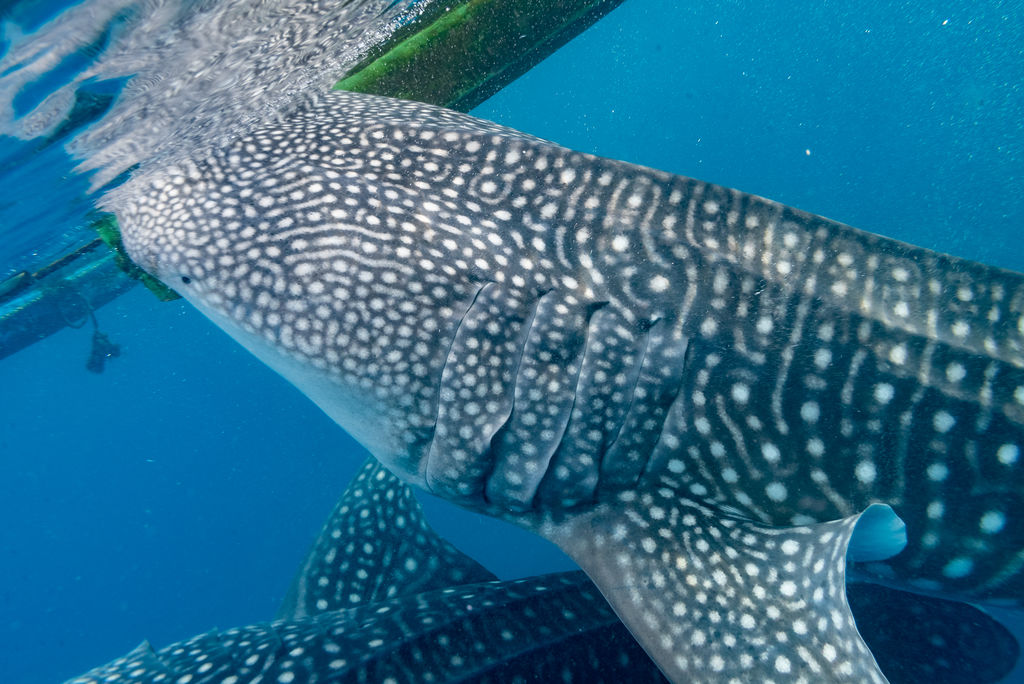 66e6ed77-f98c-49d5-b7e0-110328e40edb