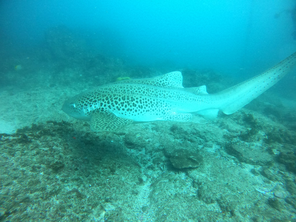 4e07de80-6721-46de-b22c-87907b6969e3