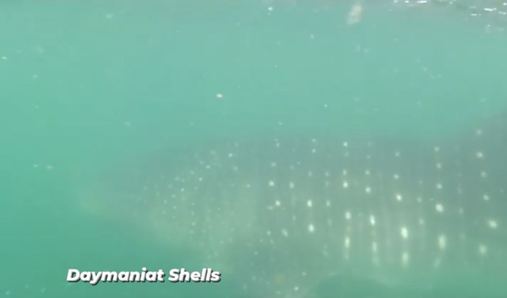 73c86104-a7ef-4d08-a127-b754b627e187