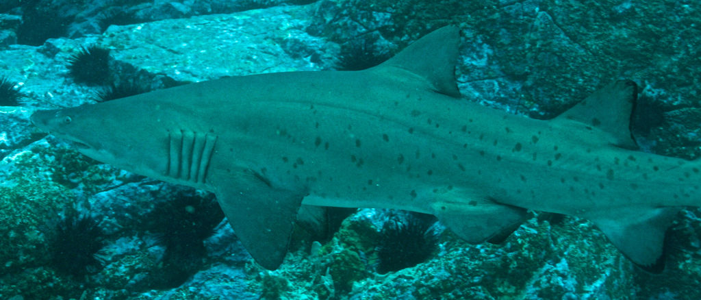 782cf3cf-d874-4bcb-867d-3ad8dec276e6