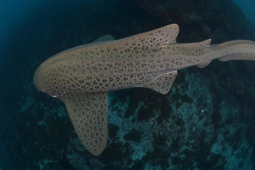 4814314a-e113-460e-acef-0958bad9e8f7