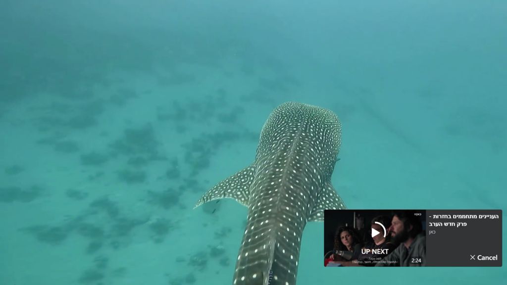 9cac655b-b9b9-4e1b-b287-9062dc80c2ff