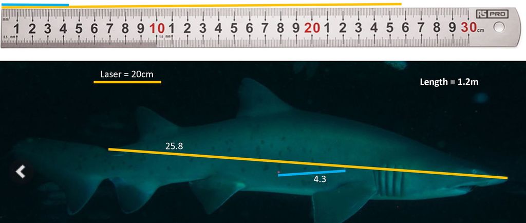 98f2d928-fc5a-4a1d-9291-864df94fc869