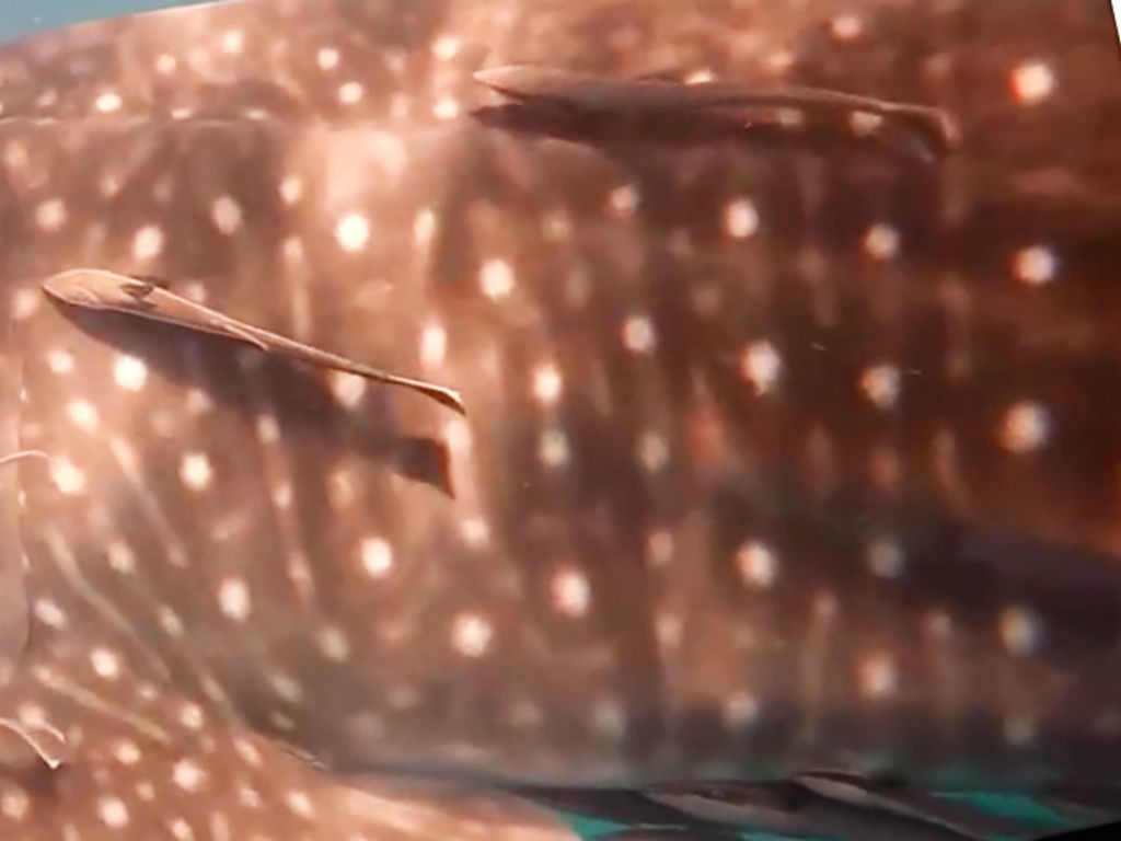 b8395b8e-78b3-42d2-a2e0-eed0b280cca4