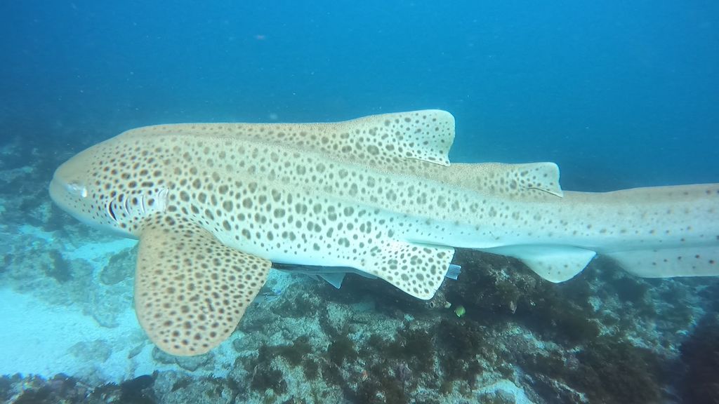 c1d6c448-c48d-4006-9b19-5ba96713e5ad