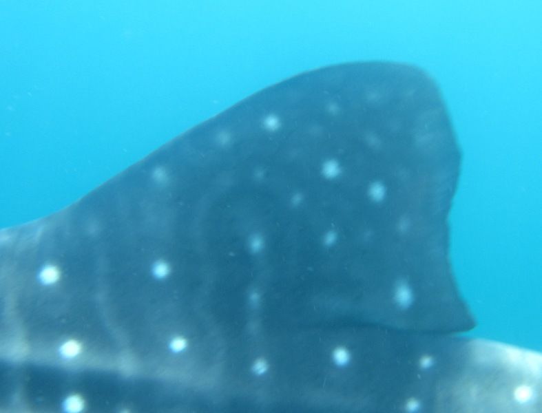 2b7c3f33-15e9-441d-8881-ca1ee40c06fd