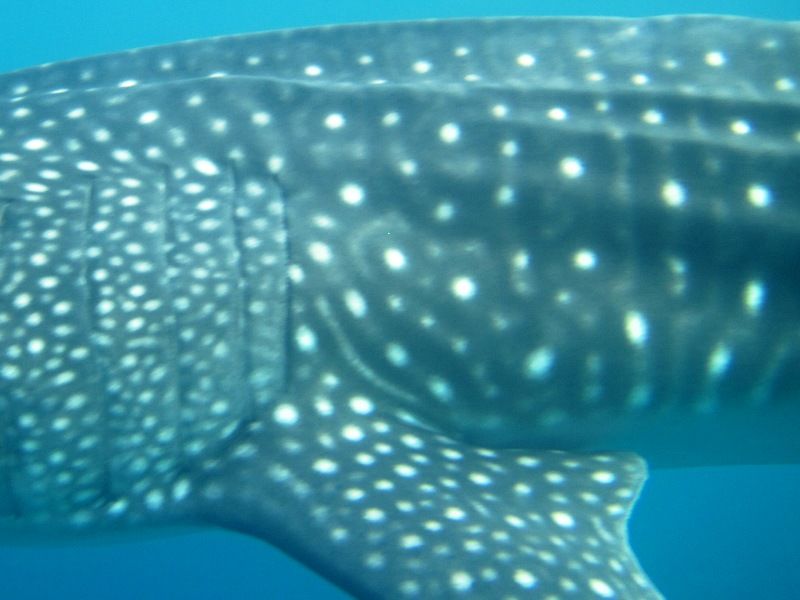 2b7c3f33-15e9-441d-8881-ca1ee40c06fd