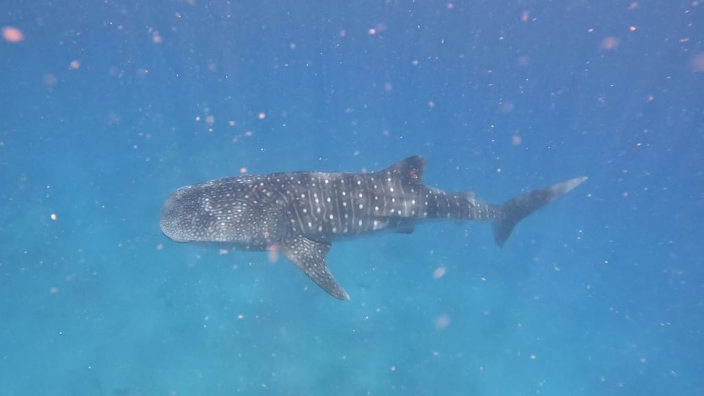 12f96c66-ef25-48bd-906a-8597d849fb7d