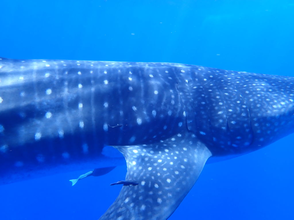 022d3cb1-a1d0-4eeb-b11d-246940483ba6