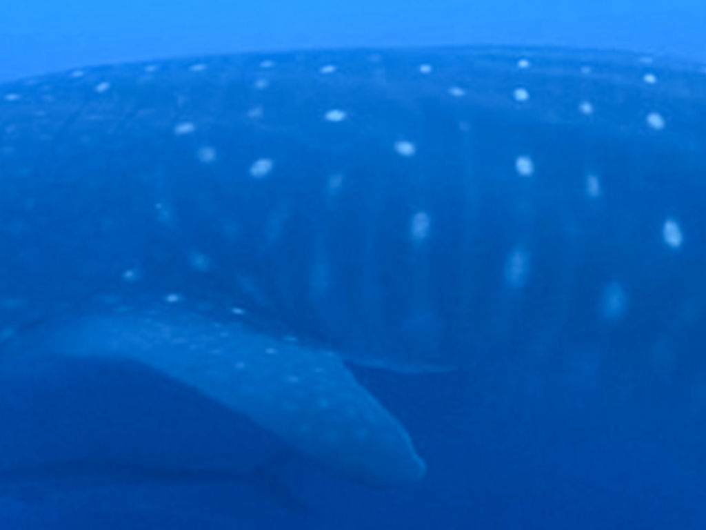 282ce950-57d2-4561-a2fe-7e3b1534c4bd