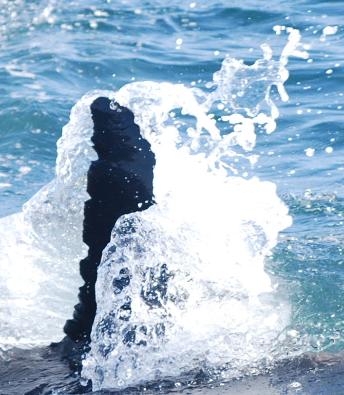 597c39d9-a519-4339-9656-59bd0130cde6