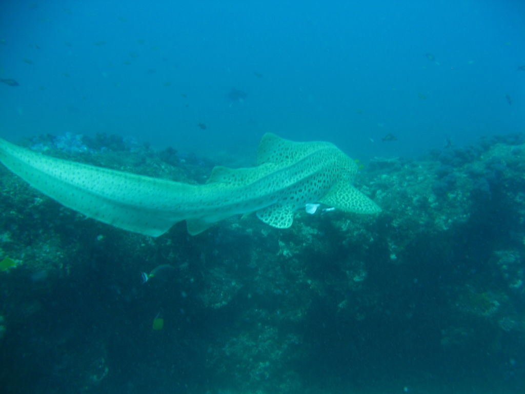 e4a8ee74-5629-4013-855c-a8e2c0700e00