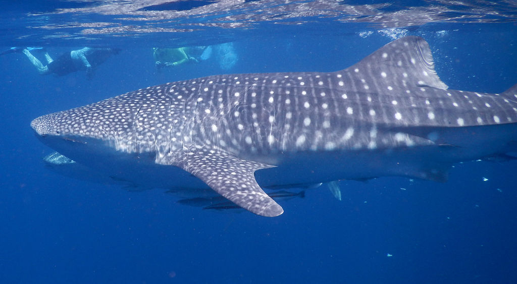 ec861836-069d-4ee6-a81e-dce849123047