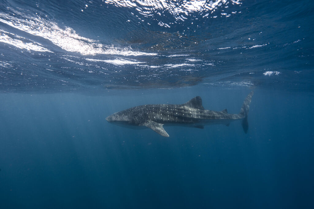 3f89834c-a32b-4dd0-928e-a911edc5b9b6