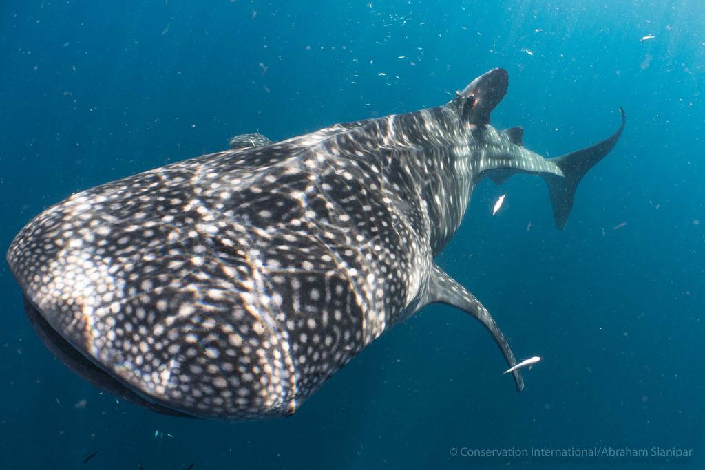 23169545-249a-4281-859e-8be8d543b958