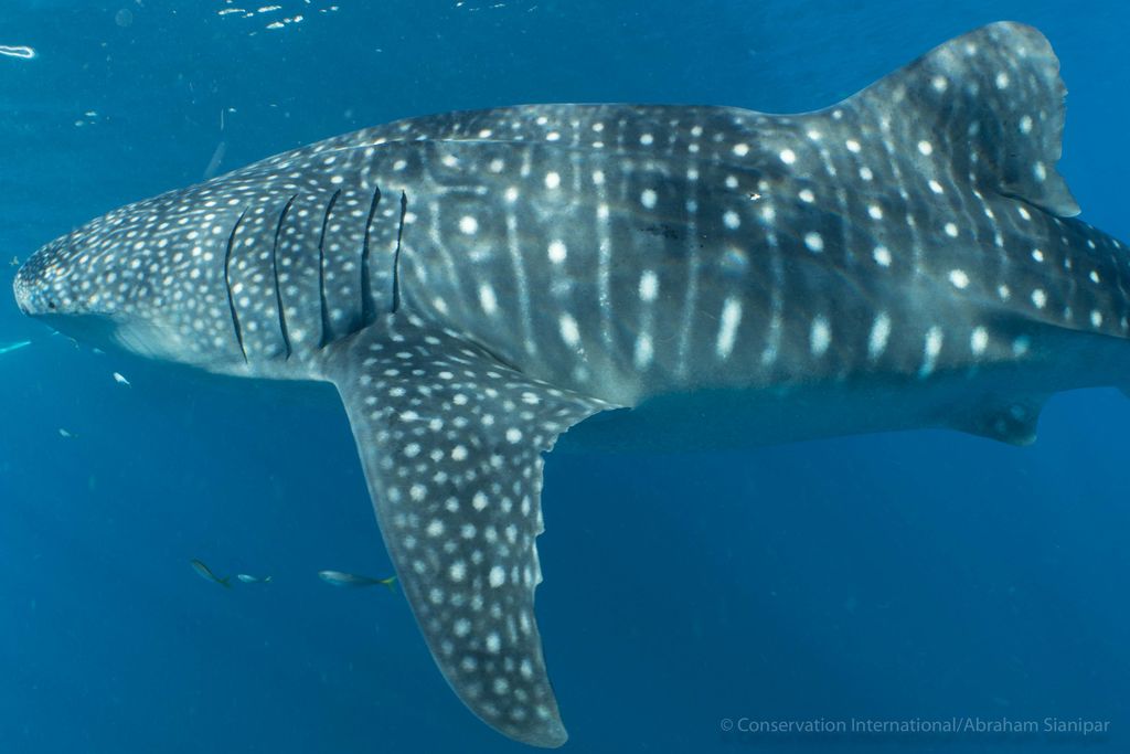 23169545-249a-4281-859e-8be8d543b958