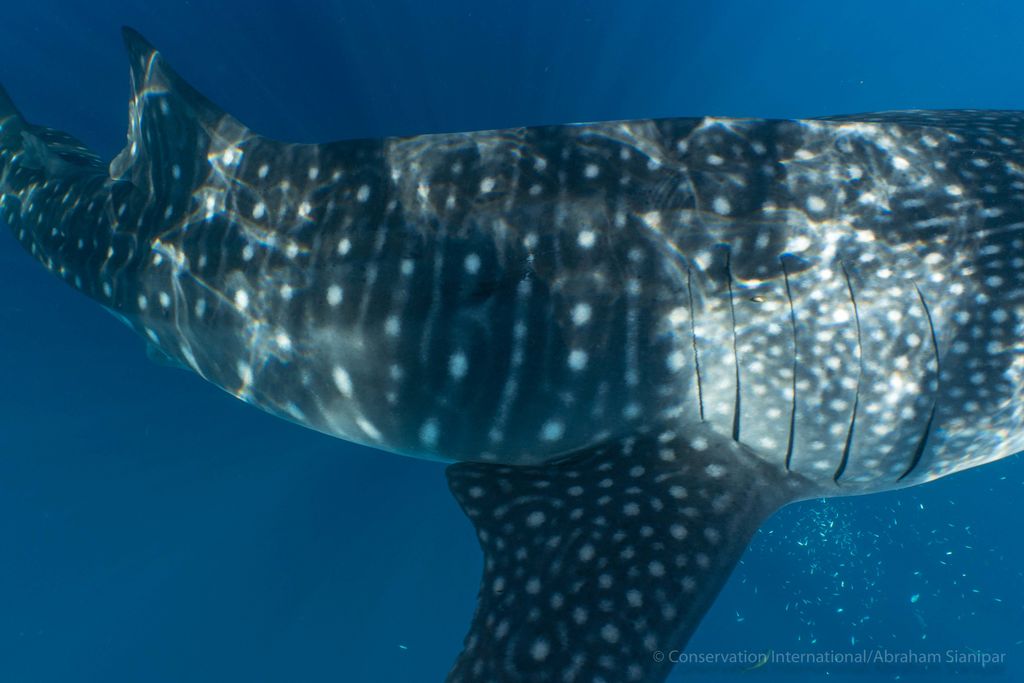 23169545-249a-4281-859e-8be8d543b958