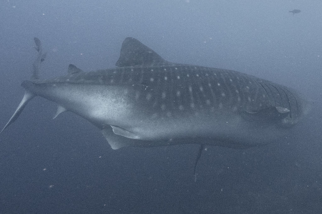 b8fb6816-1dac-40ef-ada7-cdcd432c740c